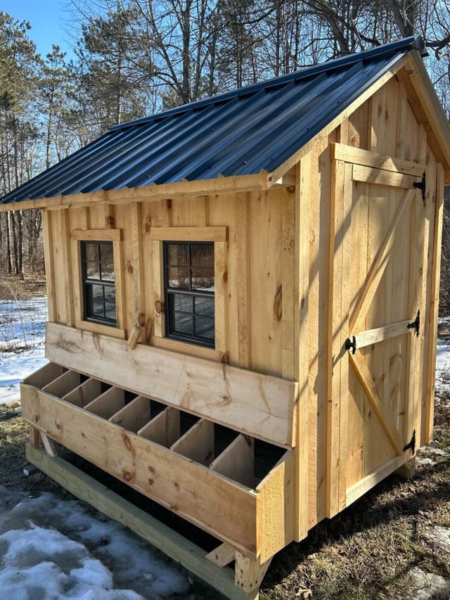Picture of a shed with an open shed door